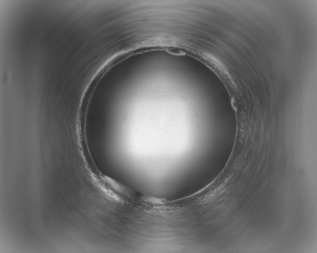 X0000073520942200608140956