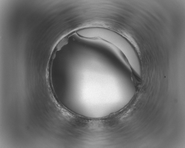 X0000073520944200608140956