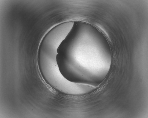 X0000073520948200608140956