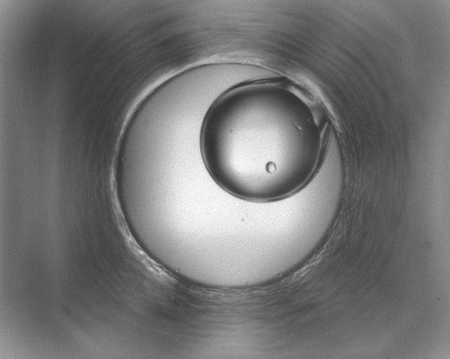 X0000073520952200608140957