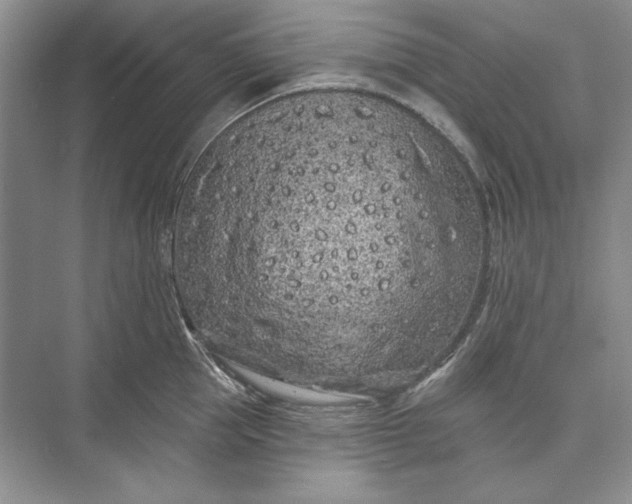 X0000073520953200608140957