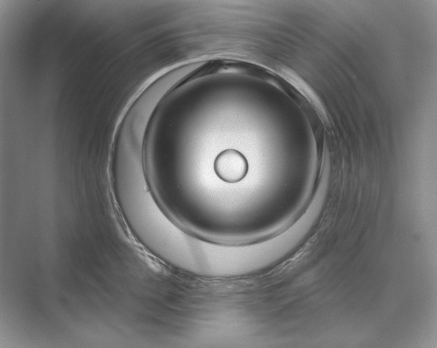 X0000073520956200608140957