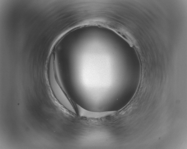 X0000073520960200608140957