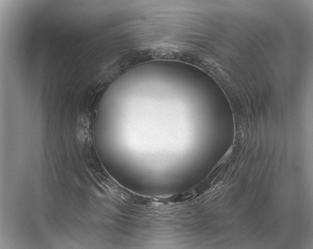 X0000073520964200608140956