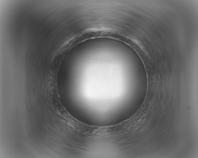 X0000073520967200608140956