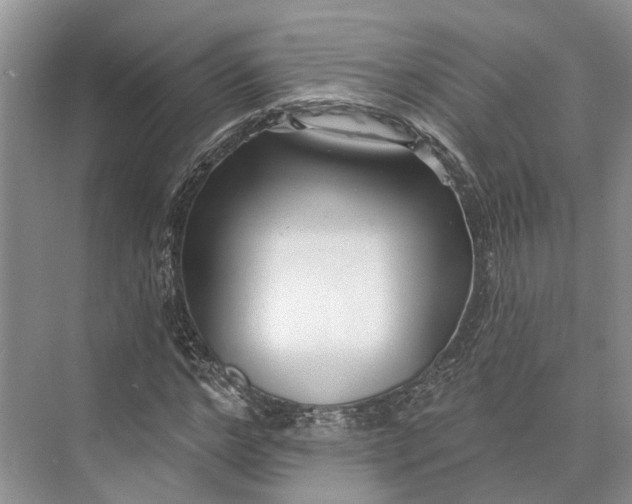 X0000073520968200608140956