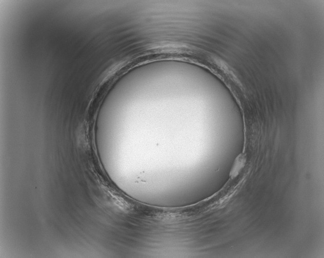 X0000073520970200608140956