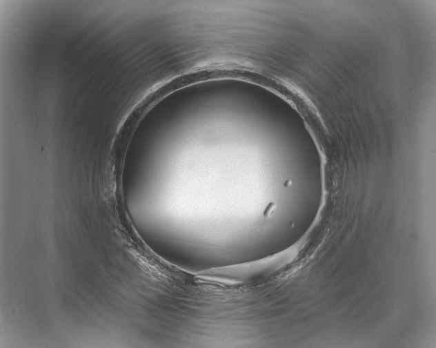 X0000073520973200608140956