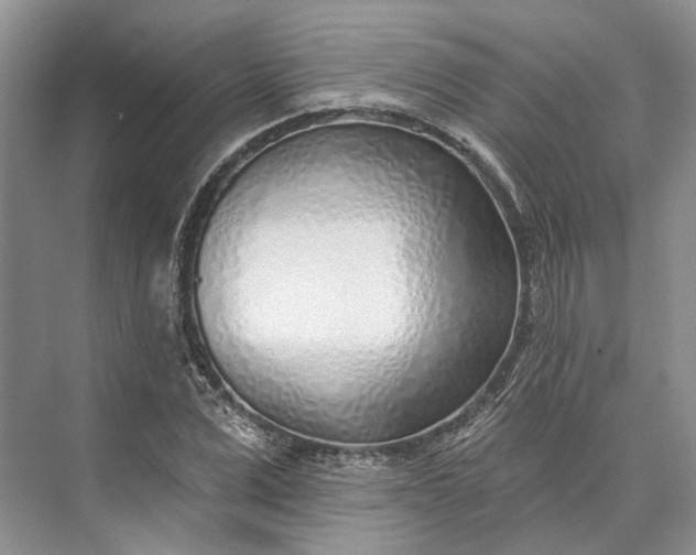 X0000073520975200608140956