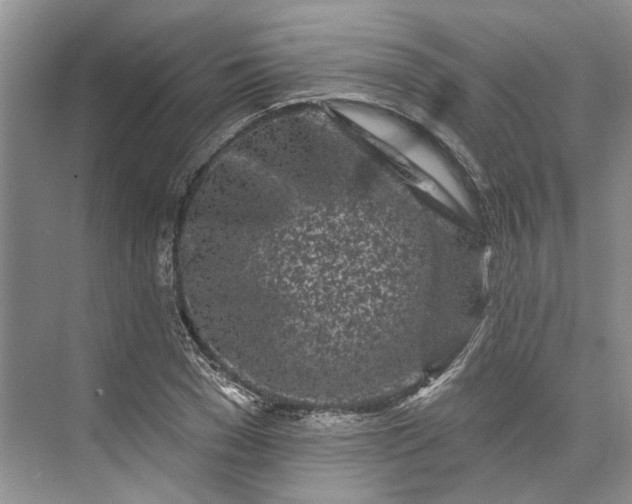 X0000073520977200608140956