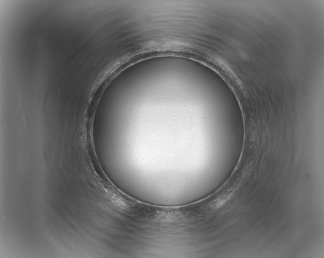 X0000073520978200608140956