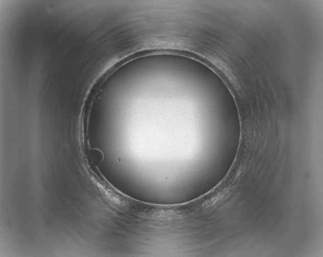 X0000073520982200608140956