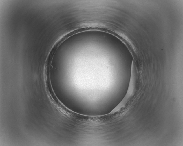 X0000073520983200608140955