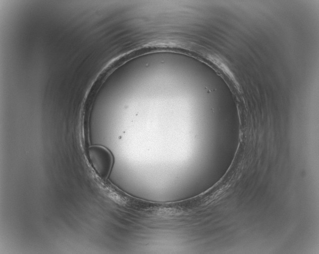 X0000073520984200608140955