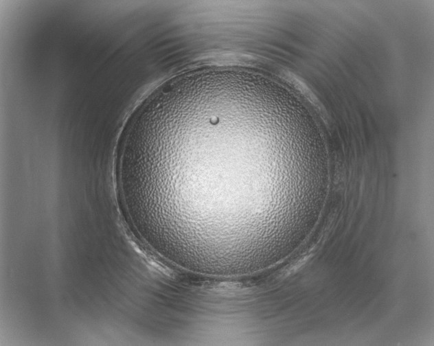 X0000073520986200608140955