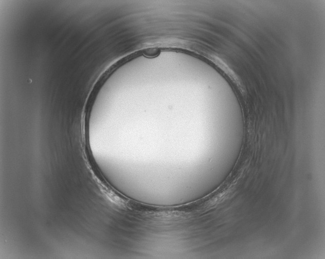 X0000073520988200608140955