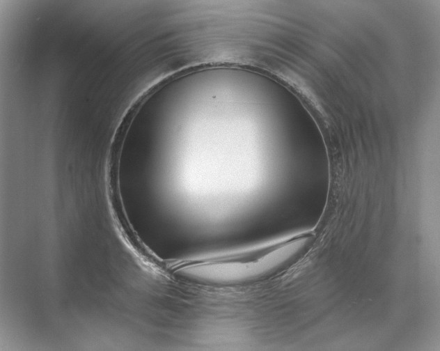 X0000073520991200608140955