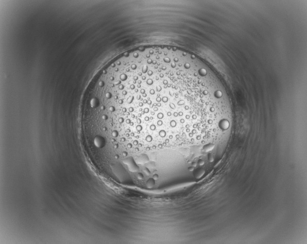 X0000073520994200608140955