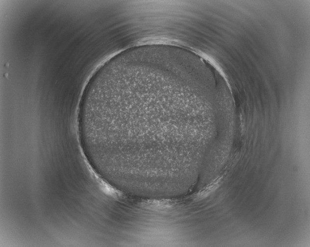 X0000073520995200608140955