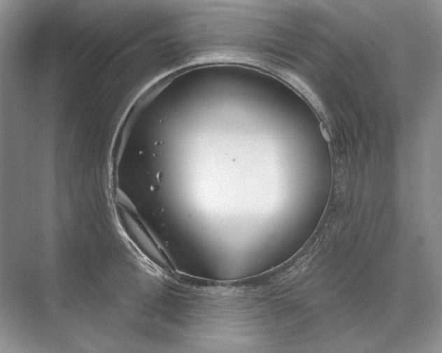 X0000073520996200608140955