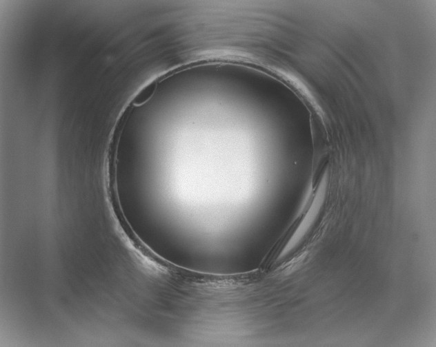 X0000073520999200608140955