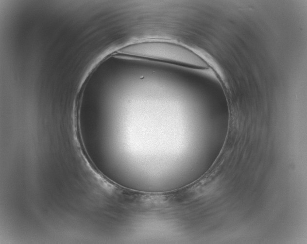 X0000073521006200608140955