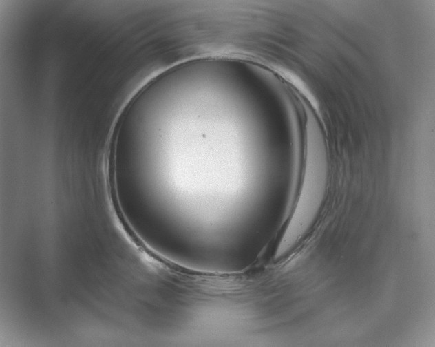 X0000073521007200608140955