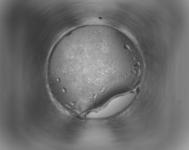 X0000073521008200608140955