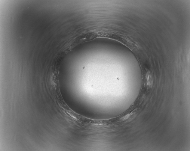 X0000073521010200608140954