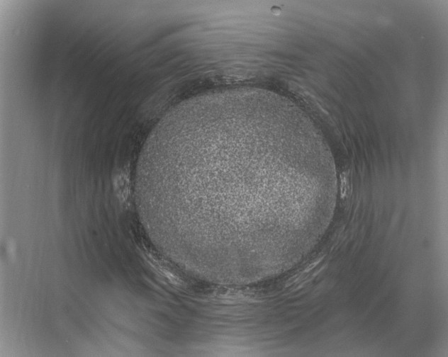 X0000073521011200608140954