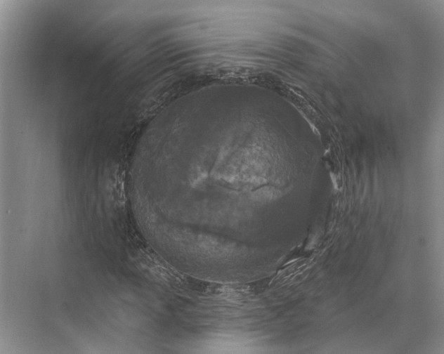 X0000073521013200608140954