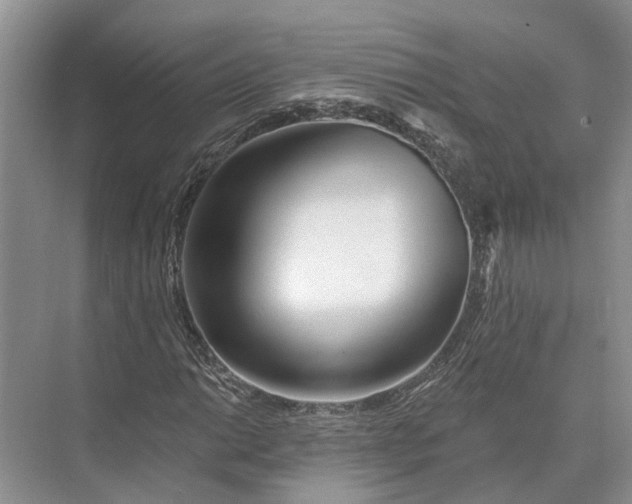 X0000073521014200608140954