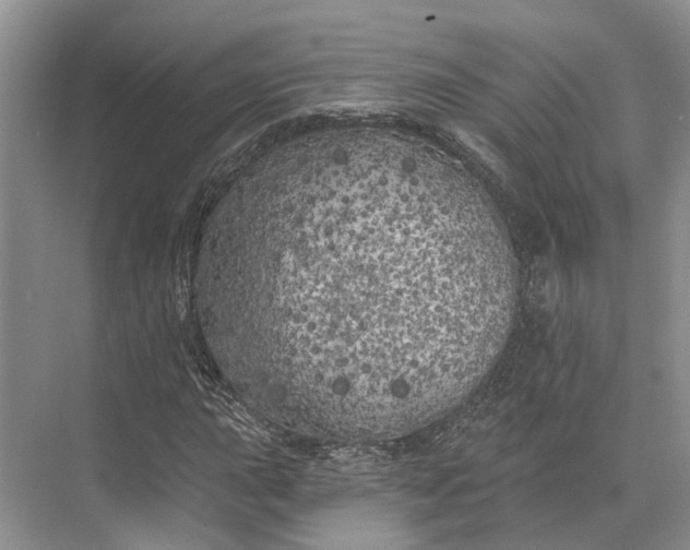 X0000073521015200608140954