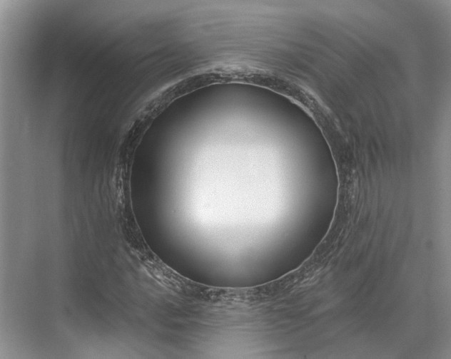 X0000073521016200608140954