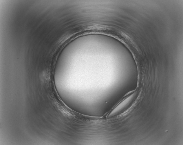 X0000073521017200608140954