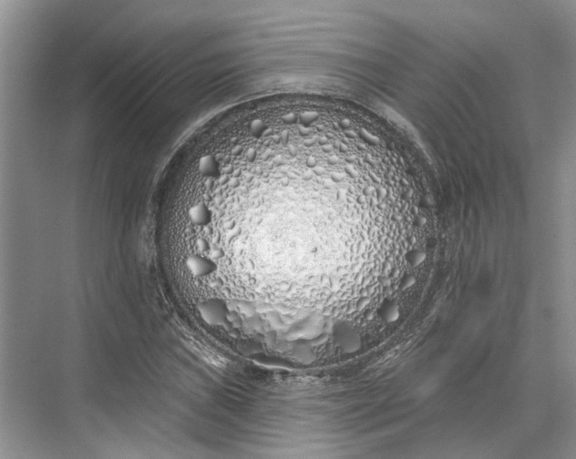 X0000073521019200608140954