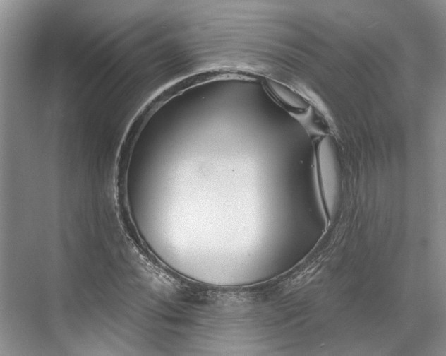 X0000073521020200608140954