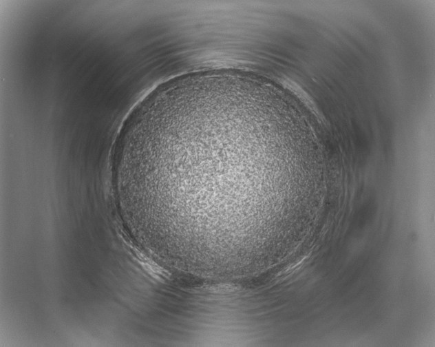 X0000073521023200608140954