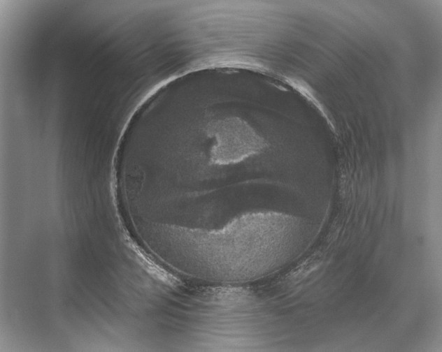 X0000073521024200608140955