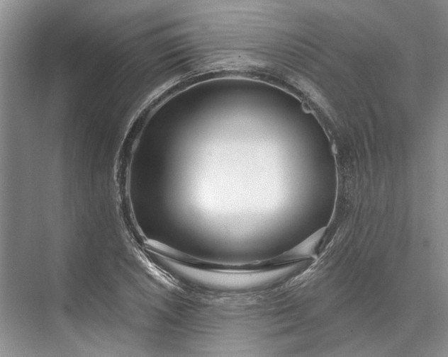 X0000073521026200608140955