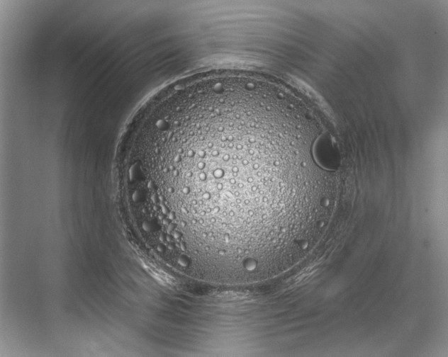 X0000073521027200608140955