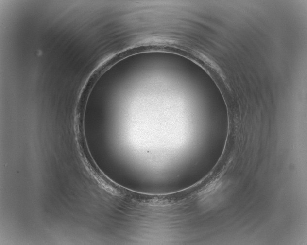 X0000073521029200608140955