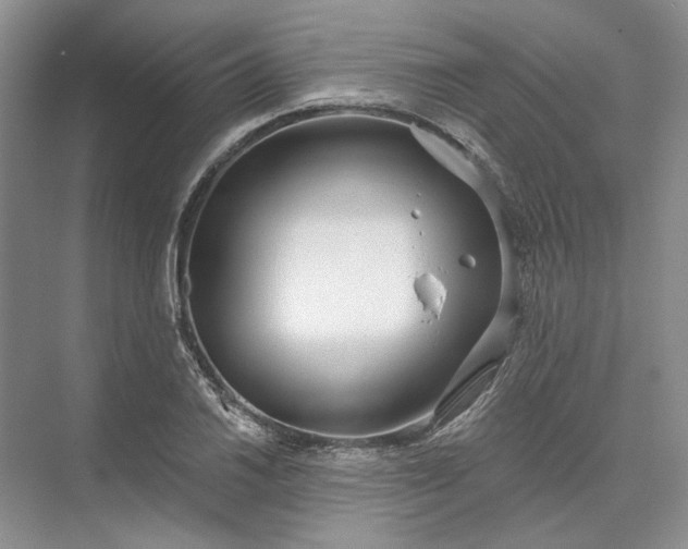 X0000073521030200608140955