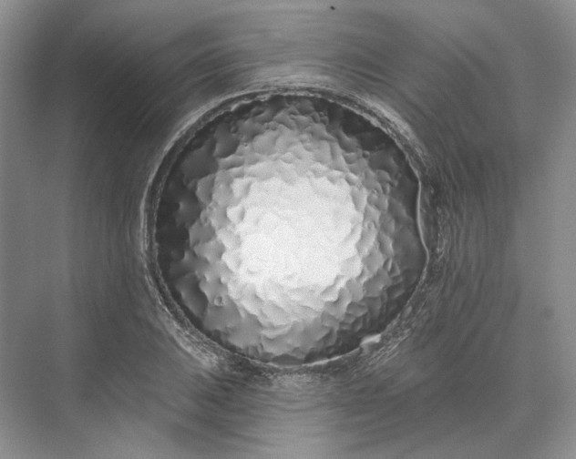 X0000073521031200608140955