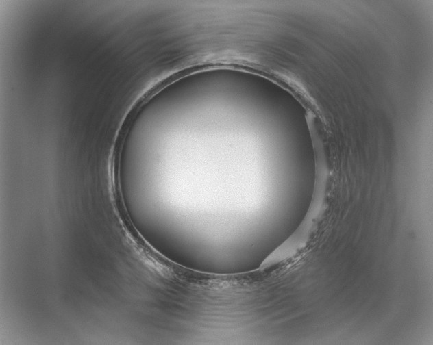 X0000073521032200608140955