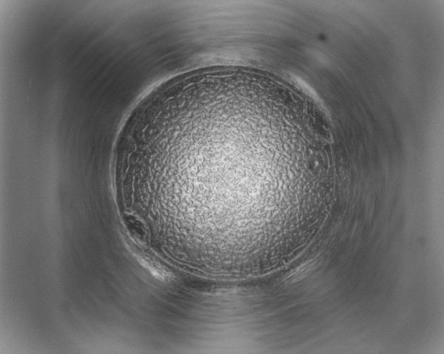 X0000073521035200608140955