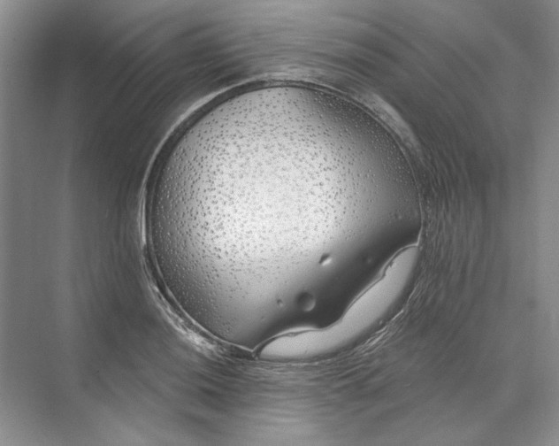 X0000073521036200608140955