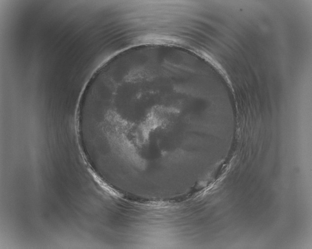 X0000073521037200608140955