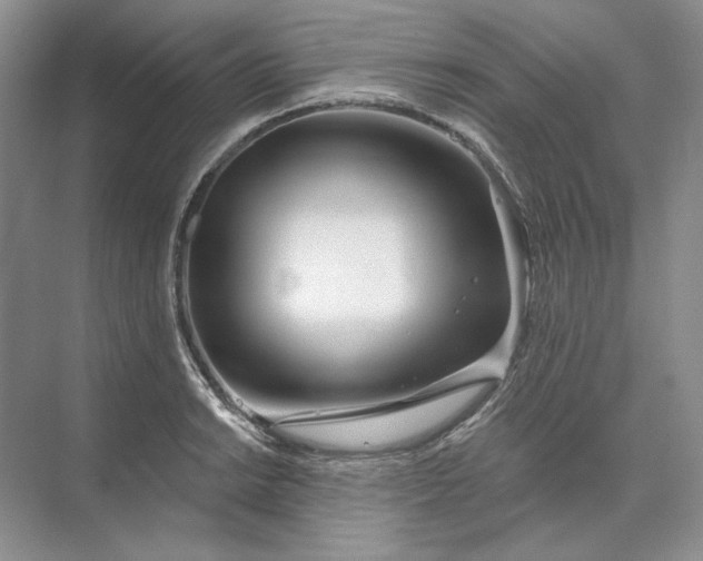 X0000073521038200608140955