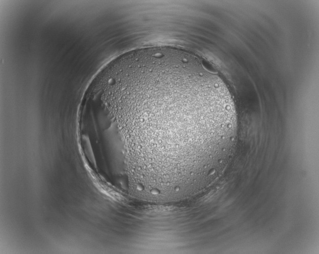 X0000073521039200608140955